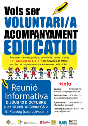 voluntariat1