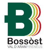 logobossost