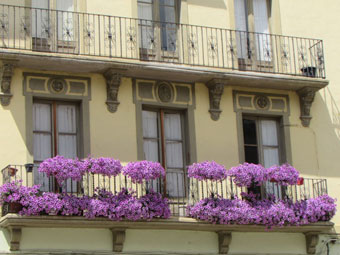 balcó-florit