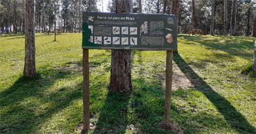 PARC DEL PINELL