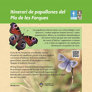 itinerari de papallones