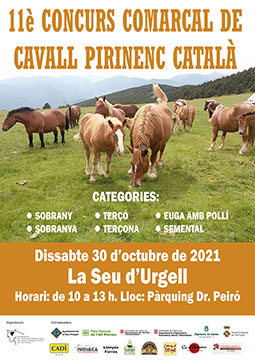 11è Concurs Comarcal