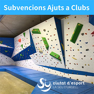 subvencions adreçades a clubs