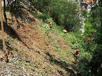 entre Castellciutat