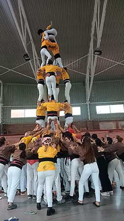 PRIMERA DIADA