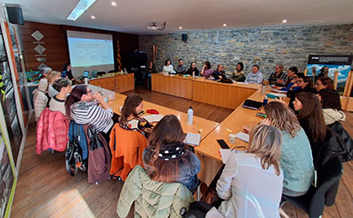 noves línies de treball