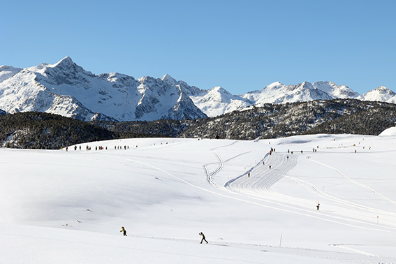 Arriba la 46a edició de la Marxa Beret