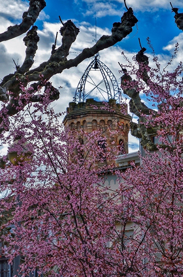 Viles Florides Tremp